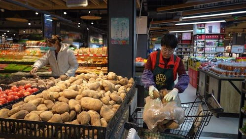 天祝東坪洋芋闖商超 供銷合作譜寫薯類銷售新篇章